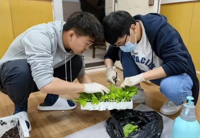 烟草局新招正式工，平均月薪8000左右，3类毕业生可优先录取