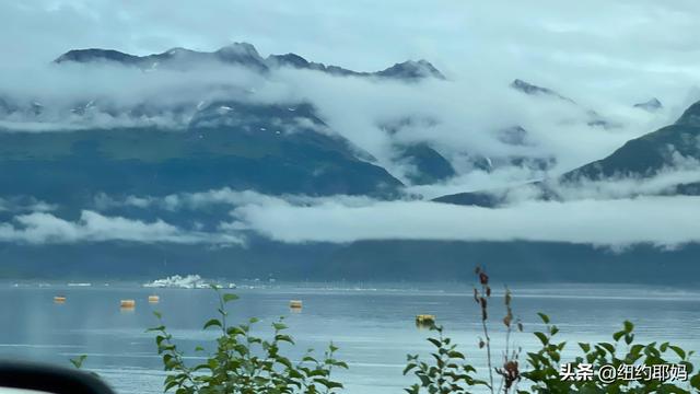 夢幻荒野阿拉斯加（14）Valdez看熊抓魚和三文魚洄遊
