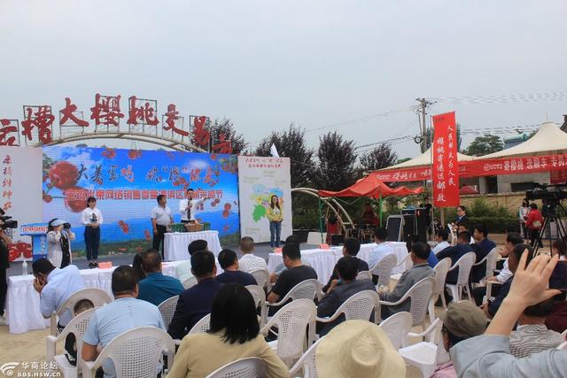 农业品牌营销顶层设计案例——陕西某镇农业公共品牌策划案