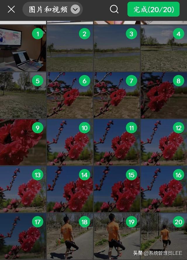 [苹果小天鹅转发消息]，微信共享支付怎么操作