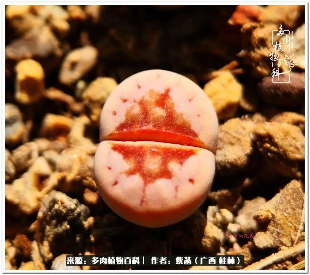 桂林滚筒式洗砂机厂家