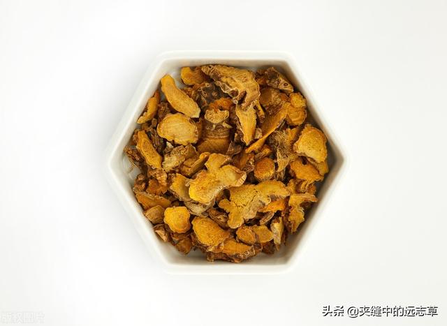 夏之将至，送你一味白花蛇舌草，解热毒、消疮痈、利小便