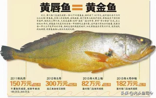 泉州青石制砂机器厂家