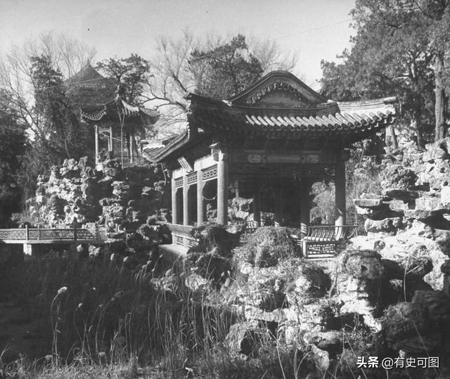1946年的紫禁城外停滿了汽車，太和殿上放著袁世凱的西洋寶座