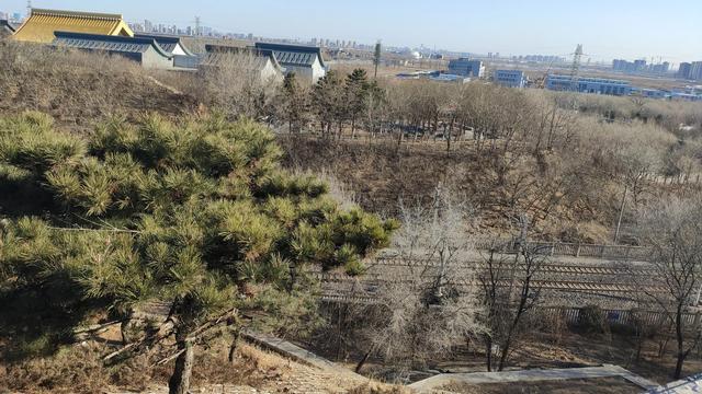 歲末年尾，到北京園博園逛一逛