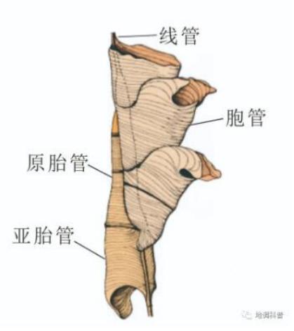 看似随手一笔 其实精确无比