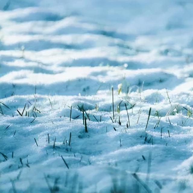 「大雪节气」居家养生有三忌，三种食物正适宜
