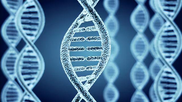 心态乐观活得长？全国公认的5个长寿习惯，坚持做到对你有好处