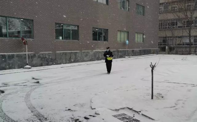 门前三包除雪忙虎年第一场雪的这场行动你参与了吗 新闻时间