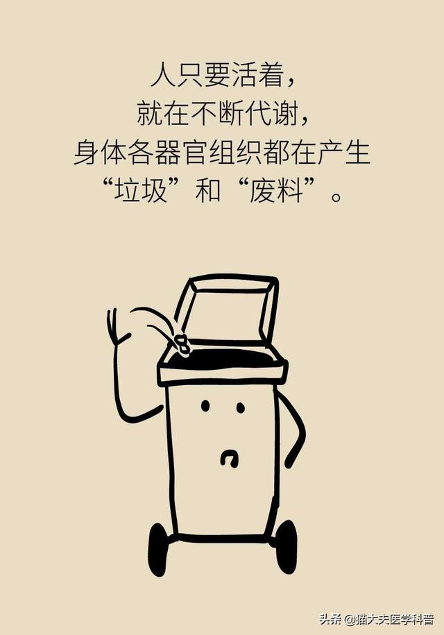 睡眠日丨睡不好的后果远比你想得更严重，你可能会变傻