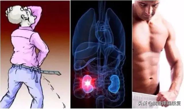 山珍海味是大补？以形补形？保护肾脏健康很有必要