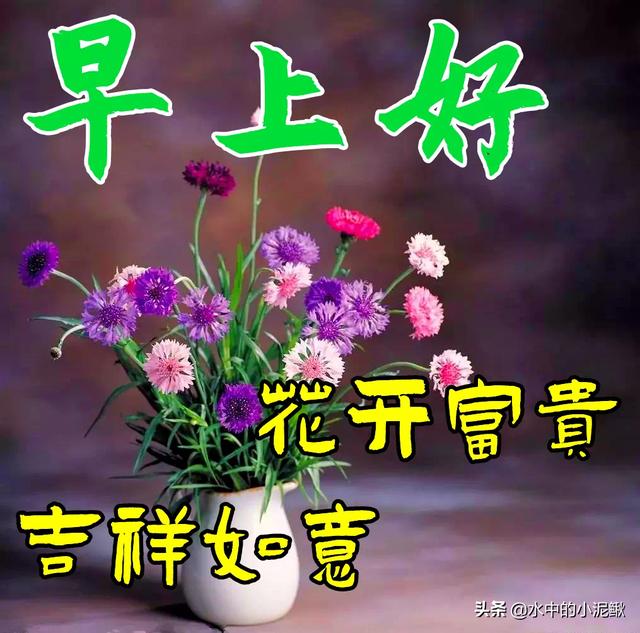 早安正能量励志语录，最新早安语录句子，新的开始
