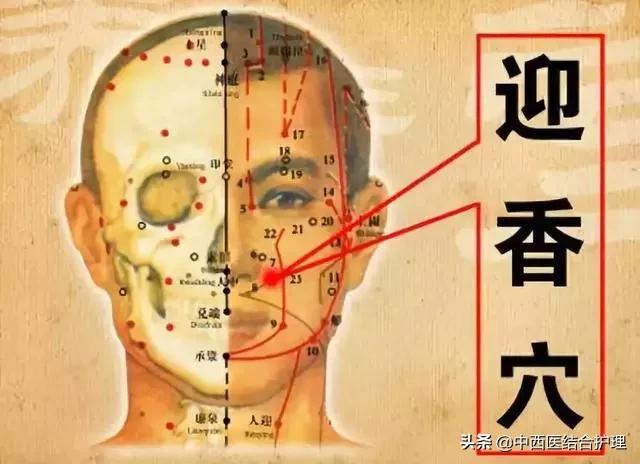 「中医长寿秘诀」抓住晨起五分钟，通七窍、养五脏、祛疾病