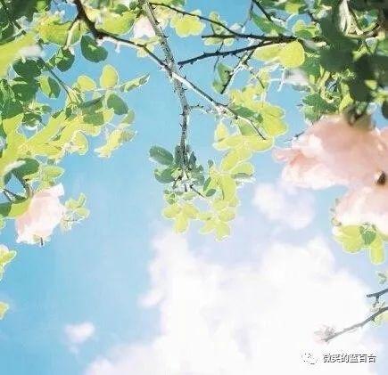 五月，人间正青春