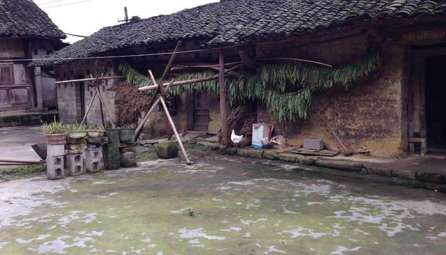古人忠告：“门前坟，屋后水，家败人亡子不归”，其实有一定道理