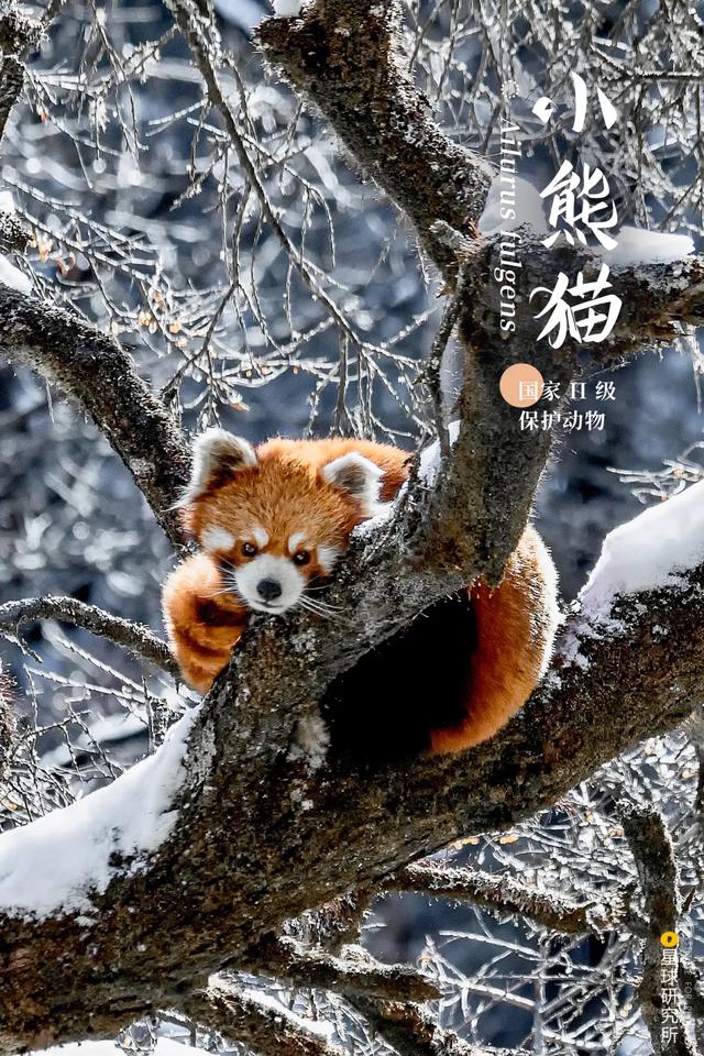 黄石洗砂机哪家便宜