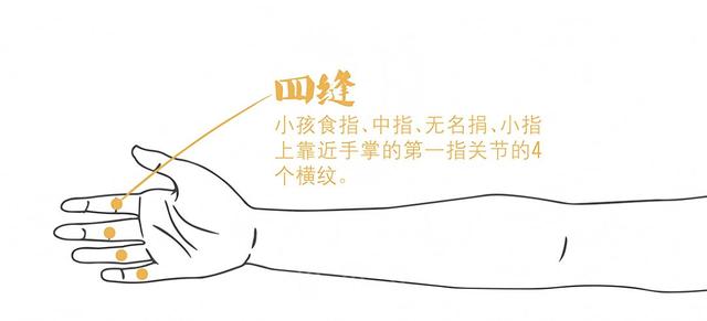 肠胃不好？中医说可以这样进行调理，这些食物可以常吃