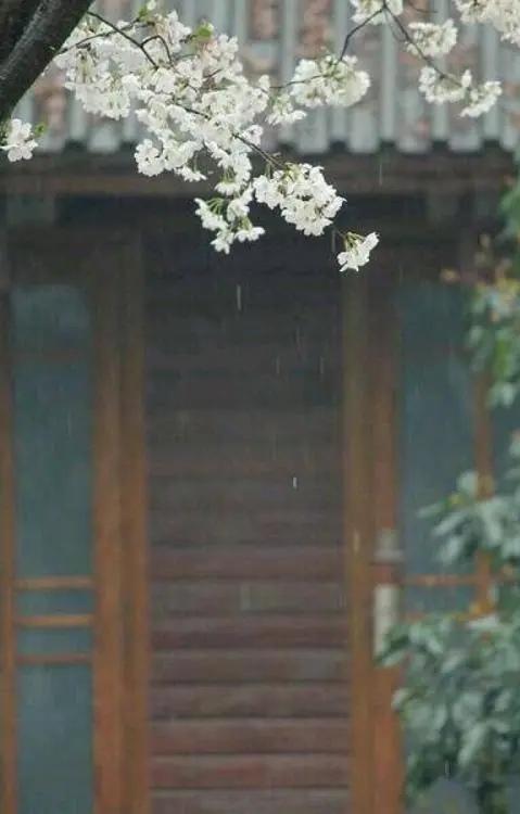 散文：愿有时光可回首，且以清欢度流年