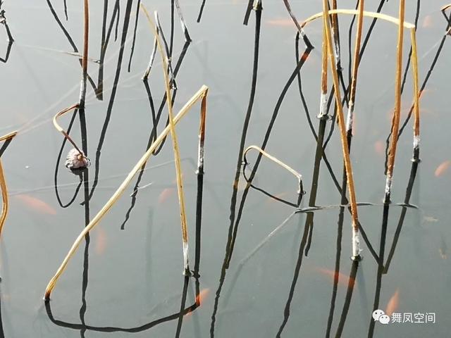 房山牛口峪濕地公園，沒想到風景如此優美