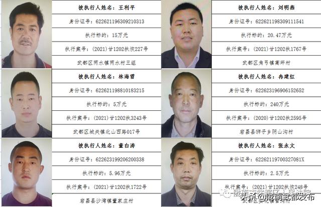 曝光! 武都区法院公布2022年第一批失信被执行人名单（172人）