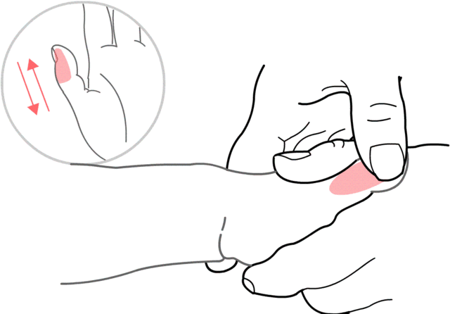 “冬至进补，来年壮如虎”记住这个方法，孩子身体棒棒哒