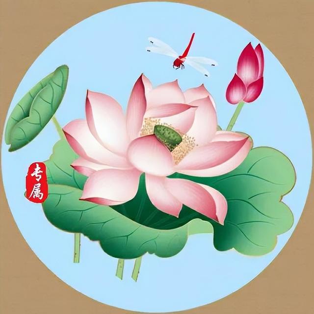 金钱豹转发消息-男人用荷花做头像插图(7)