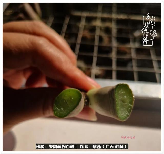 郑州新型泥土洗砂机