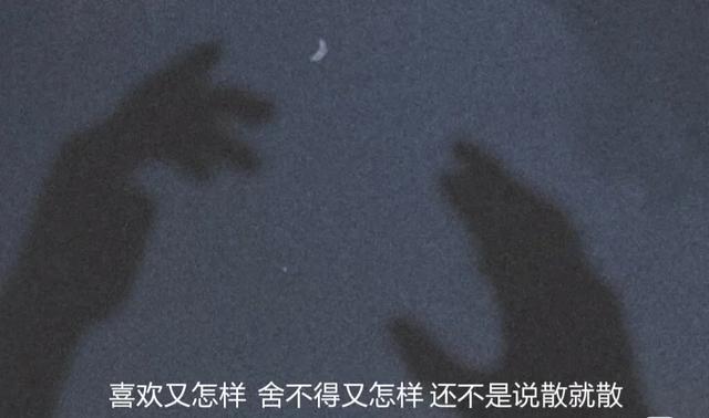 第一次读到便直击内心的句子