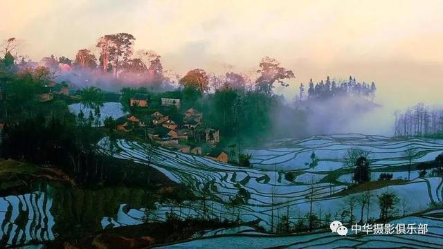 太美了！金奖摄影作品欣赏——