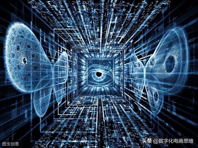 谈一下章鱼和数字化之间的关系，感觉到很神奇