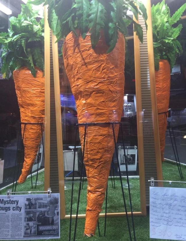墨尔本街头偶遇“奇特”的大叔，随身抱着巨大的胡萝卜