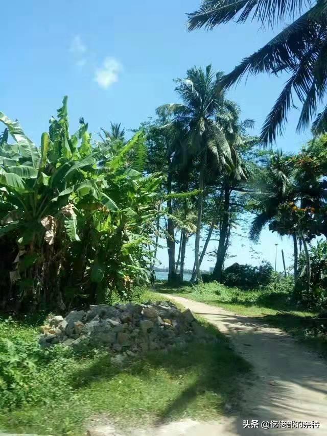 航海旅行散記之：斯裏蘭卡科倫坡