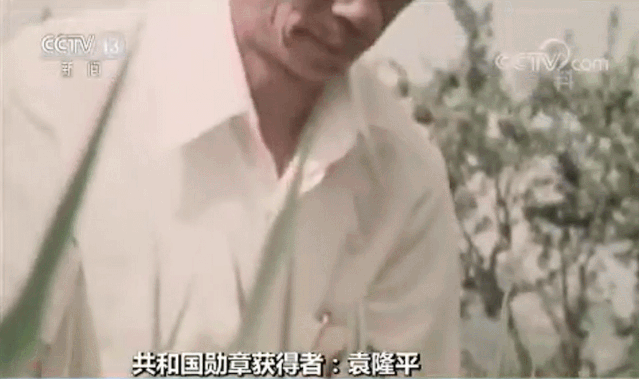 万小刀：清明节，怀念那个让我们吃饱饭的人