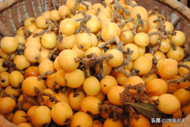 枇杷别只会当水果吃，教你做枇杷膏，清肺润喉止咳化痰，建议收藏