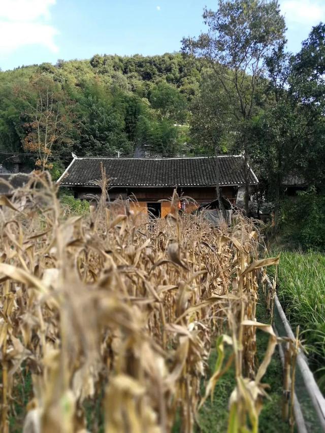 沈從文筆下的邊城，讓人無比放松的安靜所在，我去了兩次念念不忘