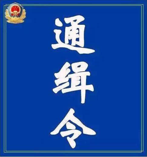 89年放牛娃山上捡大量现金，意外牵出连环血案，警方连夜全国通缉