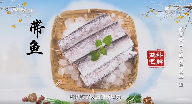 涨知识！带鱼身上银白膜可食用、海参补阴阳、黄鱼会变色