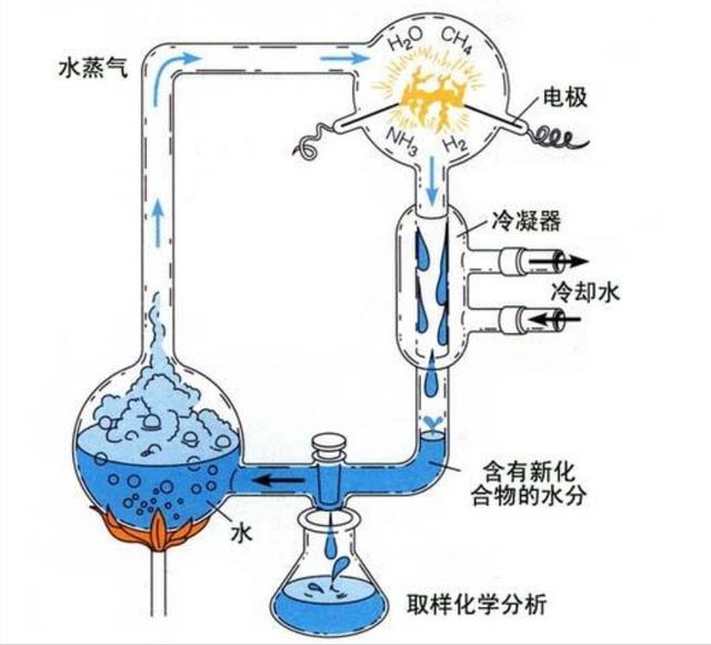 我们都是外星后代？70亿岁陨石发现DNA成分！地球生命或来自太空