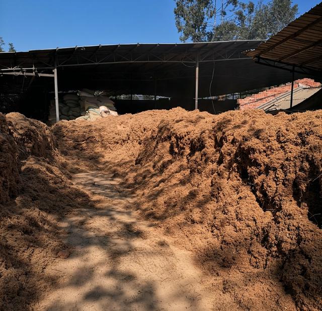 农村开什么厂最稳定？农村冷门暴利的小生意