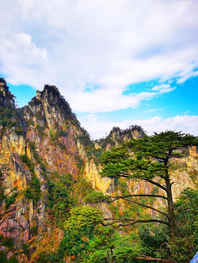 临安大明山景区(临安大明山景区门票多少钱)