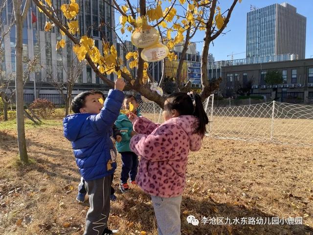 「2021112」树真好——《鹿宝儿与树》中班园本课程（二）