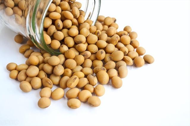 大豆油危害最大？花生油、菜籽油、橄榄油、玉米油，哪种更健康？