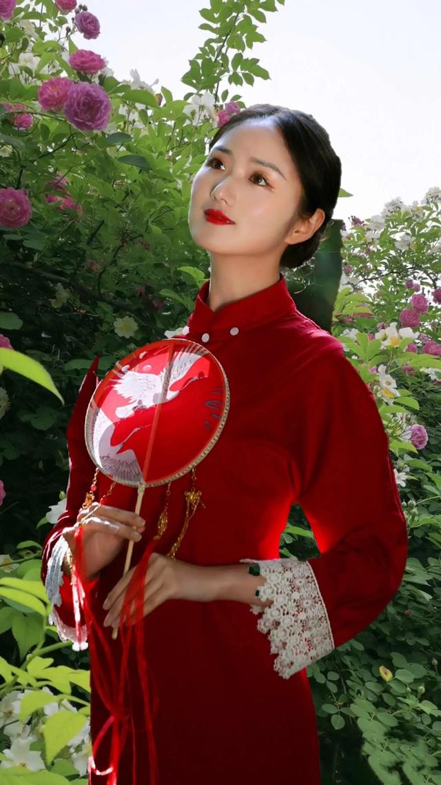 四月蔷薇开，美人更可爱