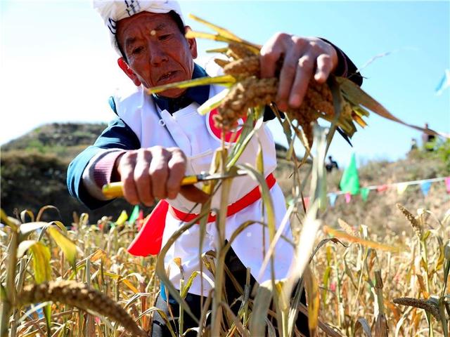 柳州冲击制砂机