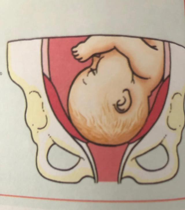 广东新增育儿假，老公叫我生三胎，我让他看完这6张图