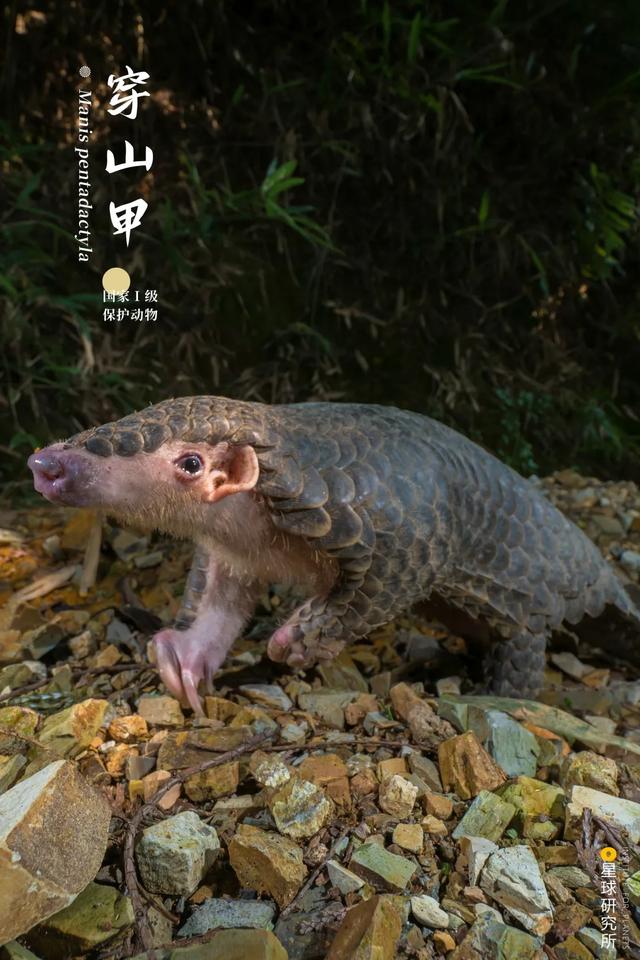 甘肃洗风化砂机哪里卖
