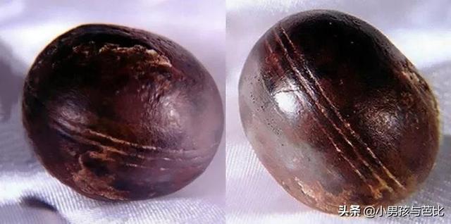 古代石球探秘（三）：神秘的南非小球