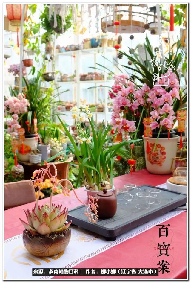 辽宁螺旋洗砂机出售
