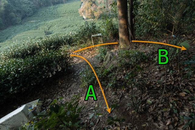 杭州登山徒步路線17：野路有趣，但不建議盲目去爬