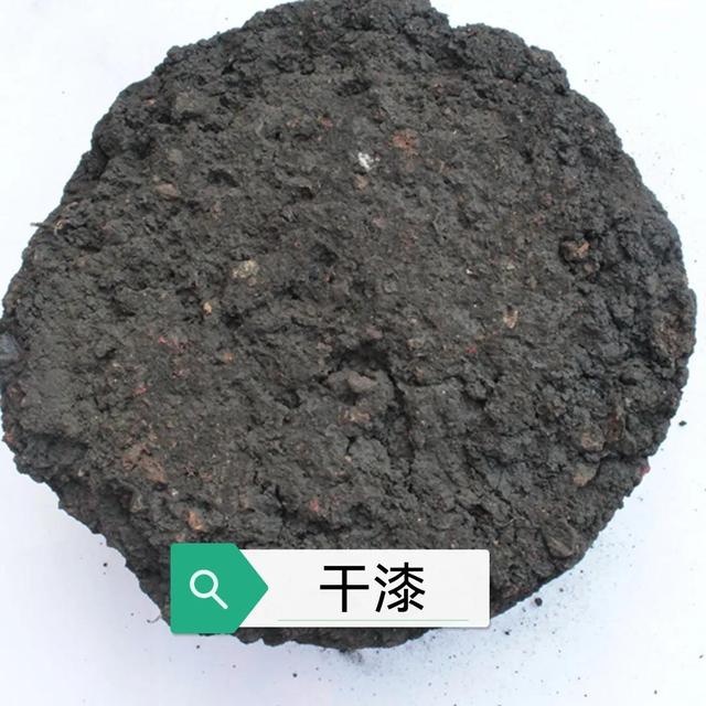 中药古今研究：干漆